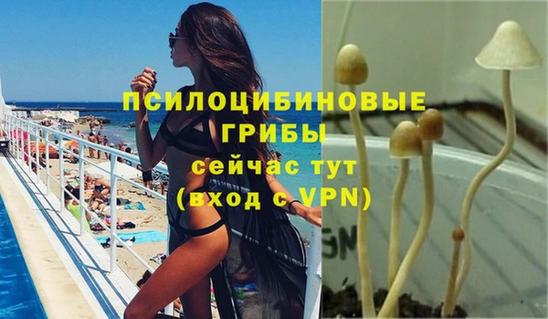 2c-b Переславль-Залесский