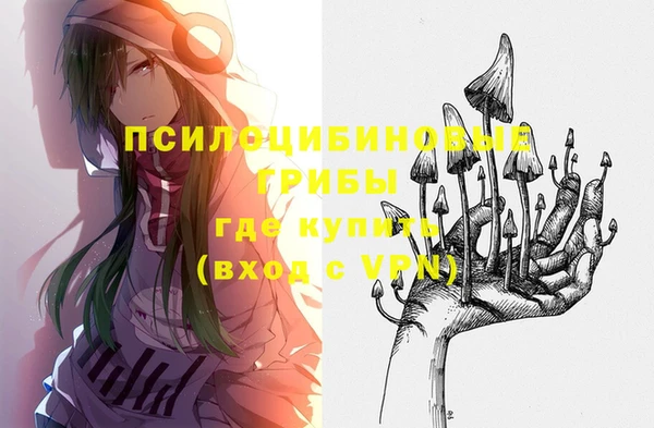 2c-b Переславль-Залесский