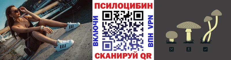 Галлюциногенные грибы прущие грибы  Купить где  Абакан 
